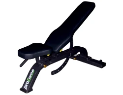 ABJUSTABLE DUMBELL BENCH - 2