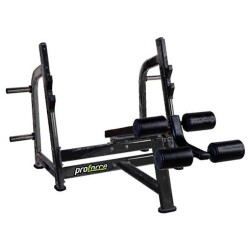 DECLINE BENCH PRESS - 1