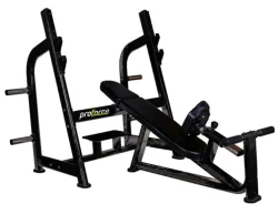 İNCLİNE BENCH PRESS - 3