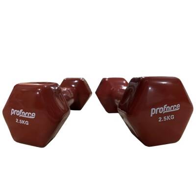 VİNİLY KÖŞELİ DUMBELL 2,5 KG - 1